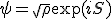 \psi = \sqrt{\rho} \exp(i S)