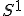 S^1