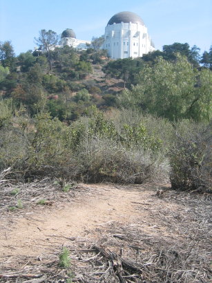 griffith observatory from trail