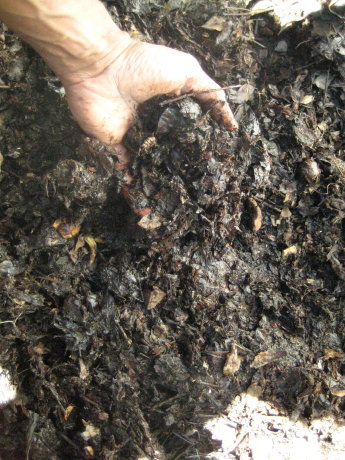 compost on the way