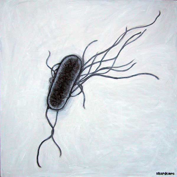 e.coli image by shardcore