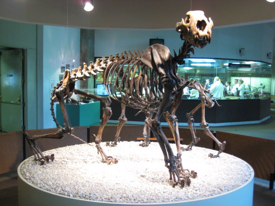 tar_pits_trip