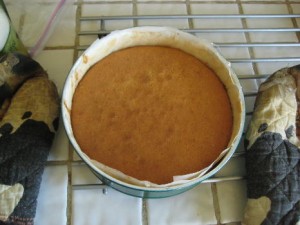 apple_cake_prep_9