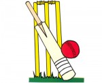 cricket_bat