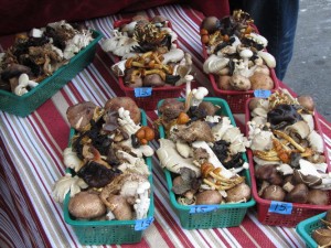 mushroom_stall_2