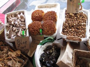 mushroom_stall_3