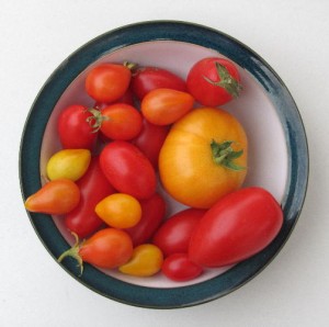 tomato_crop