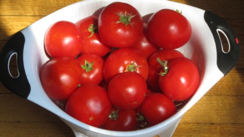 late_tomatoes