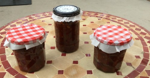 chutney_10_mar_2016_5