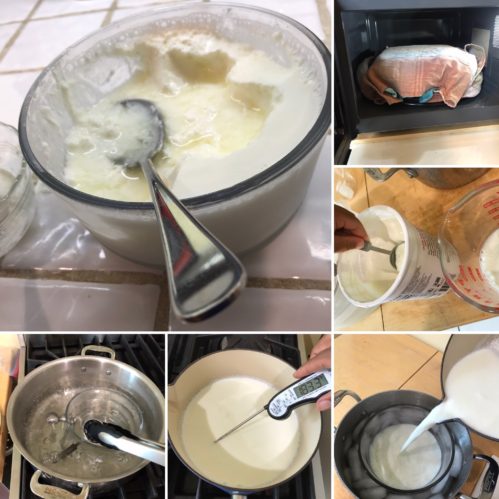 stages of yogurt making
