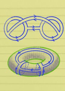 ribbon diagram that can be drawn on a torus