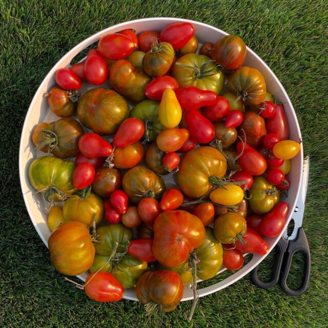 Harvest | Asymptotia